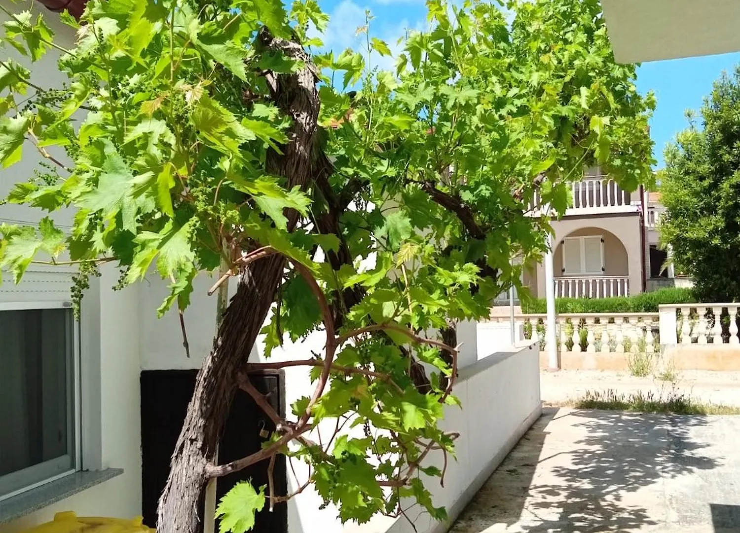 דירה ויר Apartman Kata קרואטיה